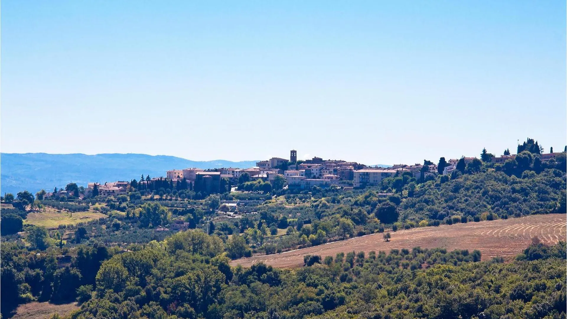 Calistemo Villa Turignano